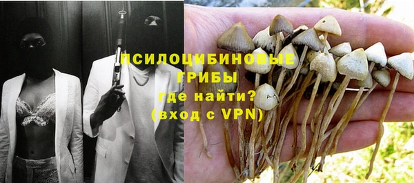 крисы Усинск