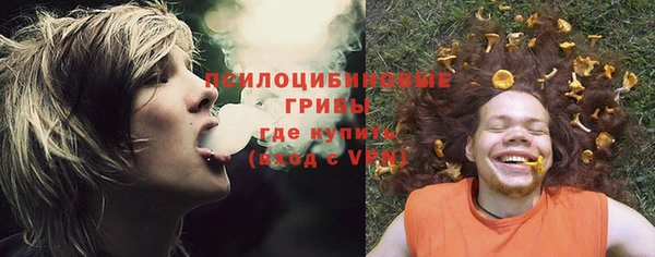 крисы Усинск
