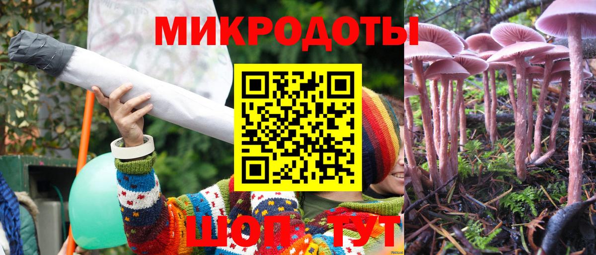 Галлюциногенные грибы мицелий Белогорск