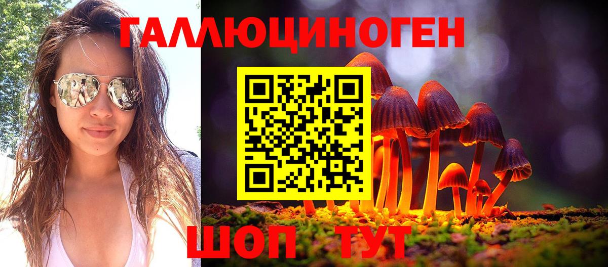 Галлюциногенные грибы Psilocybine cubensis  Белогорск 