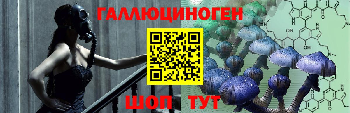 Псилоцибиновые грибы прущие грибы Белогорск